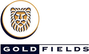 Gold Fields announce profit gains