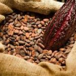 COCOBOD lauds Olams’ contribution to cocoa sector