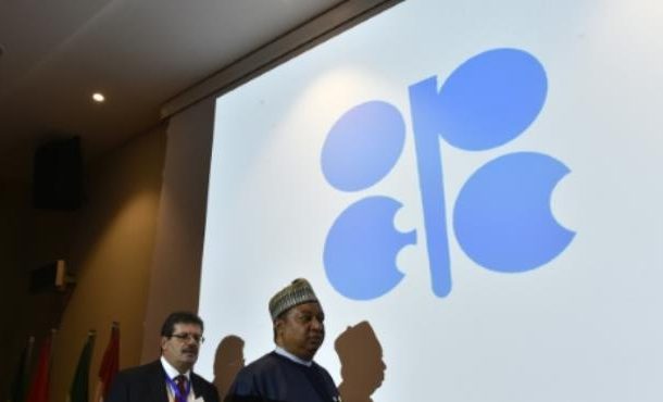 Oil price rally slows on doubts over OPEC output deal