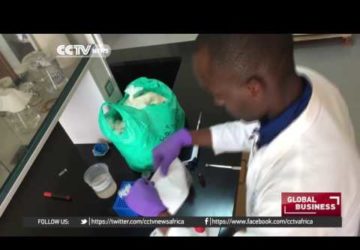Biodegradable Waste: Ugandan Scientists to Make Plastic Bags Out of Cassava