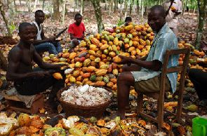 Cocoa Producer Price adjusted