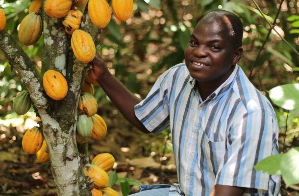 Nestlé partners groups to support cocoa farmers