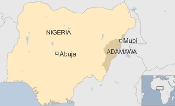 Nigeria suicide bombing kills 50 in Adamawa state