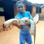 Photos: 13-year- old boy kills huge python