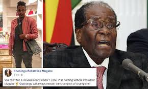 'You can't fire a Revolutionary leader, he's the champion of champions'- President Mugabe’s son rants on social media