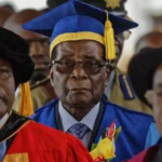 Fall of Robert Mugabe: Nana Addo calls for peaceful resolution