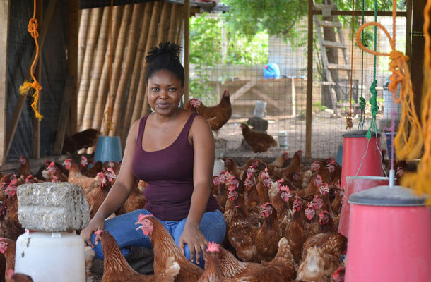 Ghanaian feminist pushes for equal farming opportunities