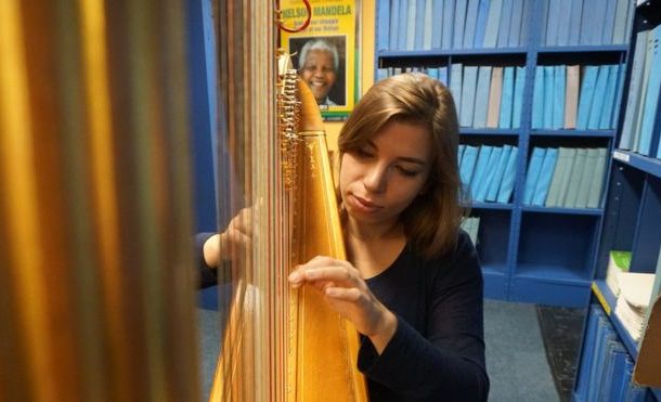 The mystery of South Africa's golden harp