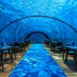 Dine with the fishes at world's largest all-glass underwater restaurant