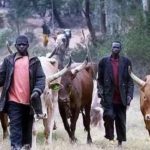 Gov’t depolys 200 security forces to face-off with herdsmen