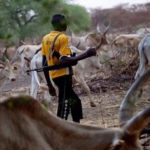 Fulani crises in West Africa; Nigeria commences registration of herdsmen