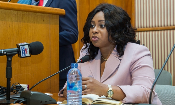 Cost of gov’t projects to be standardized to curb budget overruns – Adwoa Sarfo