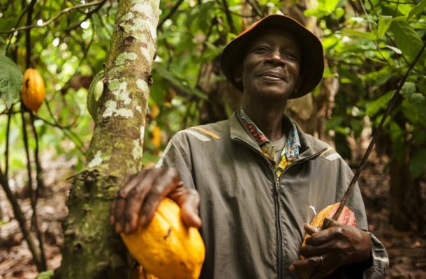 Ghana cocoa in danger of being extinct in 30 years - Experts warn