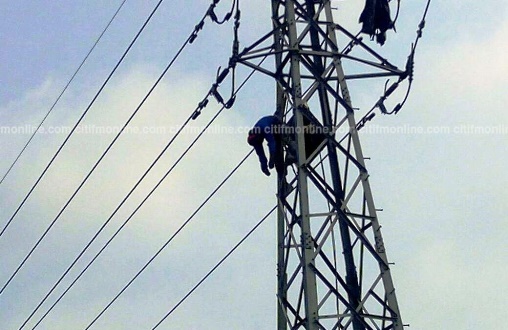Man who was attempting to save bird trapped by high tension wire electrocuted