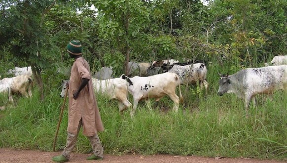 S/R: Fulani herdsman shot dead at Gbegu