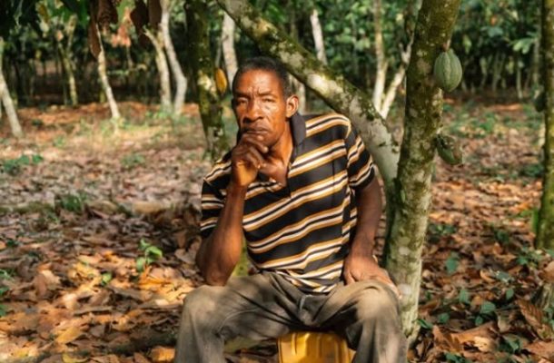 Illegal gold mining boom threatens cocoa farmers