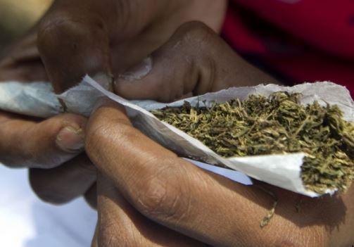 United Nations urges Nigeria to legalize the use of cannabis