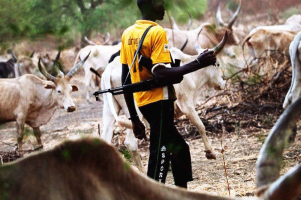Fresh Fulani Herdsmen attack leaves 7 Hospitalized