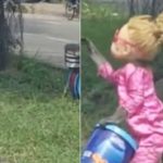 VIDEO: Anger as monkey is forced to wear doll’s head, dress up as a girl to beg at road side