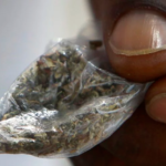 3 dead, 100 others injured after smoking fake weed laced with rat poison