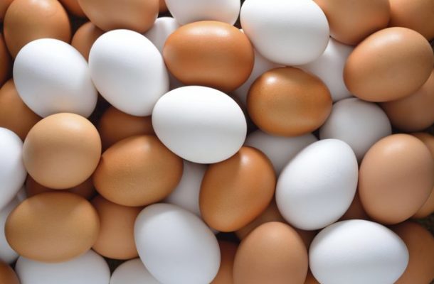 Low egg consumption collapsing poultry sector