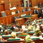 Nigerian Lawmakers vote against giving Fathers Paternity Leave