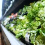 Five people die in US romaine lettuce E. coli outbreak