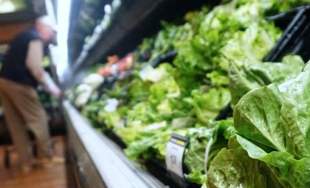 Five people die in US romaine lettuce E. coli outbreak