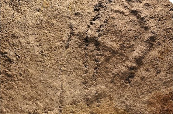 Oldest 'footprints' found in China