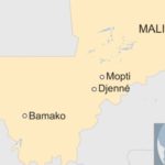Mali Fula villagers were killed 'in cold blood'