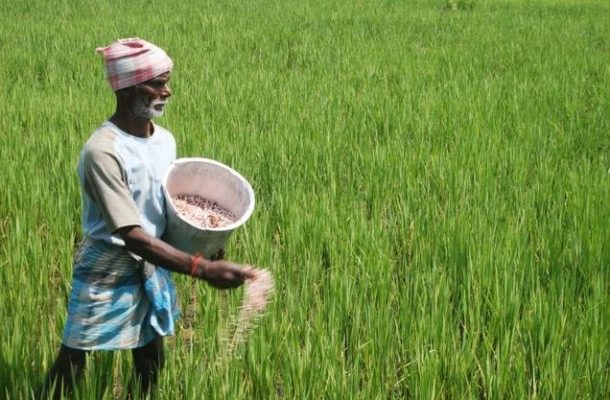 Farmers want Akufo-Addo to ‘reform farm input subsidy programme’