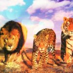 Lions, tigers, jaguar escape German zoo