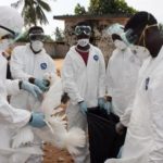 Bird Flu case hits Ghana; over 2,000 Birds killed