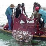 Ban on fishing: Nungua Elders back government
