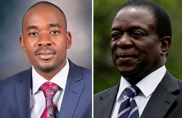 Zimbabwe's top court hears poll challenge