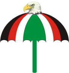 V/R: 54 vie for NDC Regional Executive positions