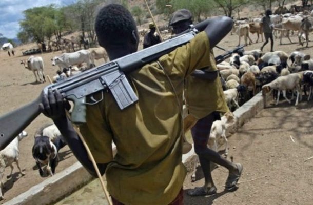 Two Fulani herdsmen attack farmer in Damongo