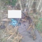 Assin Fosu: Man found dead in bush