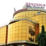 Closing down Menzgold "unfair, premature" – Akuffo