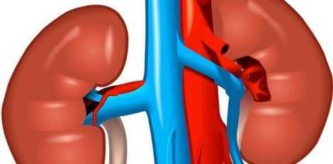 25% of Ghanaians likely to suffer kidney diseases — Research