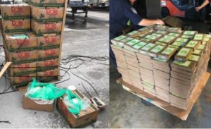 PHOTOS: Police discover $18M worth of cocaine disguised as Bananas being shipped to a prison farm