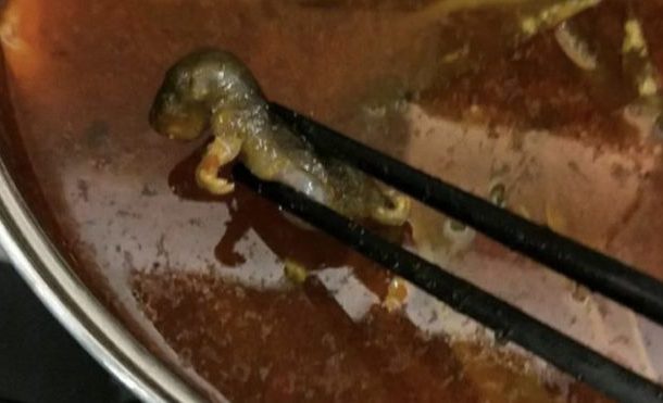 Dead rat in soup costs restaurant $190m