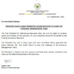 Akufo-Addo sacks Bawumia as head of Economic Management Team?
