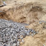 Mystery tilapia death: Fisheries Minister shuts Fujian farm; dead tilapia buried 
