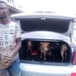 E/R: Man in police grips for stealing goats