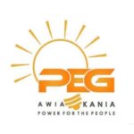 PEG Africa wins top industry award