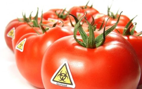 Scientists caution over calls for labelling of GMOs
