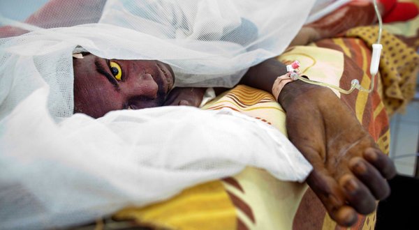GHS launches anti-yellow fever campaign; targets over 5m for vaccination