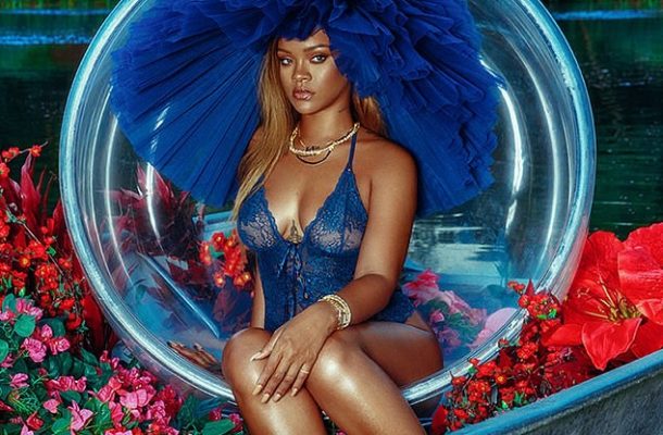 PHOTOS: Rihanna flashes her curves and nipples as she poses in a sexy sheer bodysuit