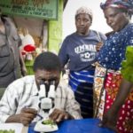 Satellites warn African farmers of pest infestations